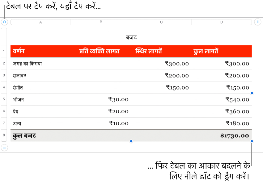 आकार बदलने के लिए नीले डॉट के साथ चुना हुआ टेबल।