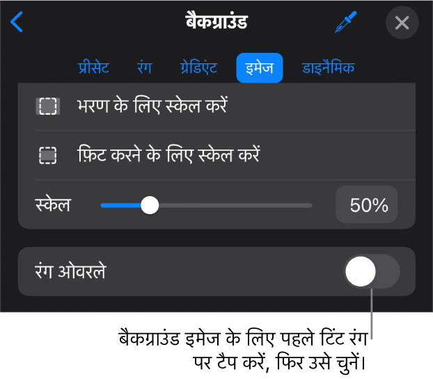 बैकग्राउंड नियंत्रण, जिनके सबसे निचले भाग में इमेज को स्लाइड बैकग्राउंड और रंग ओवरले नियंत्रण के रूप में सेट किया गया है।