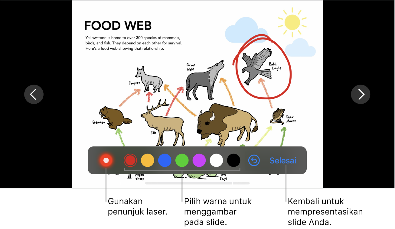 Slide dalam mode ilustrasi slide menampilkan penunjuk laser dan kontrol pilihan warna.