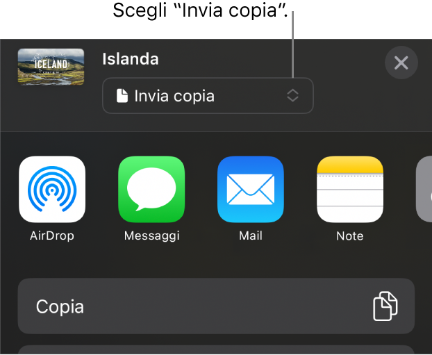 Il menu Condividi con l’opzione “Invia copia” selezionata in alto.