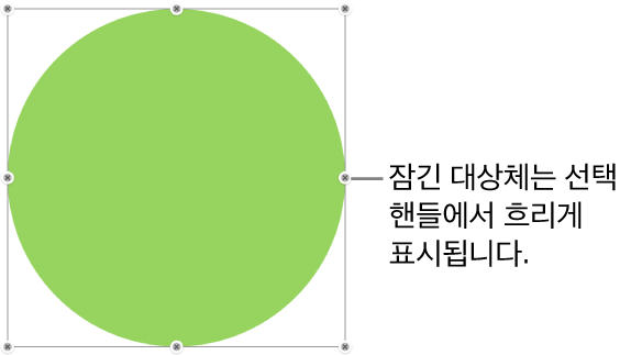 흐리게 표시된 선택 영역 핸들이 있는 잠겨 있는 대상체.