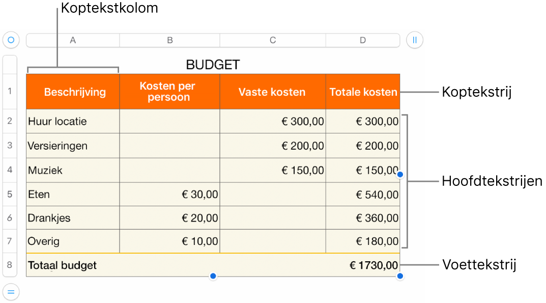 Een tabel met koptekst-, hoofdtekst- en voettekstrijen en -kolommen en selectiegrepen voor het toevoegen of verwijderen van rijen en kolommen.