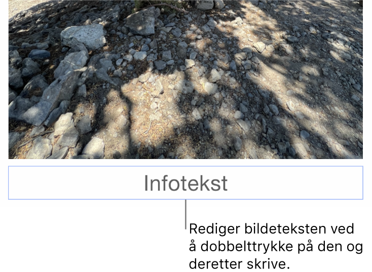 Plassholderinfoteksten «Infotekst» vises under et bilde. Et blått omriss rundt infotekstfeltet viser at det er markert.