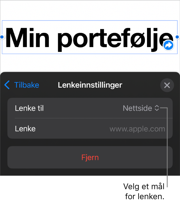 Lenkeinnstillinger-kontrollene med Nettside markert og Fjern-knappen nederst.