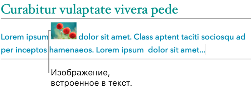 Изображение, встроенное в текст.