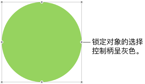 包含灰色选择控制柄的锁定对象。