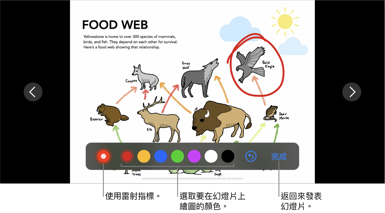 幻燈片圖解模式中的幻燈片顯示雷射筆和顏色選取控制項目。