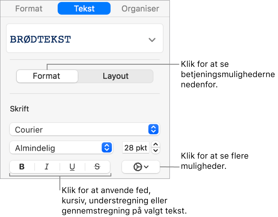 Betjeningsmulighederne til Format i indholdsoversigten med billedforklaringer til knapperne Fed, Kursiv, Understreget og Gennemstreget.