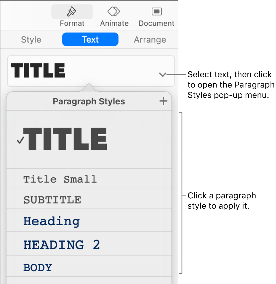 The Paragraph Styles menu with a tick next to the selected style.