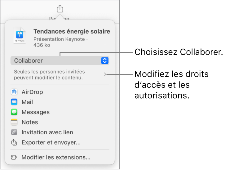 Le menu Partager avec l’option Collaborer sélectionnée dans le haut, au-dessus des réglages d’accès et d’autorisation.