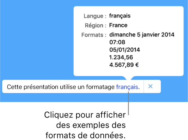 La notification du réglage de langue et de région différents, qui affiche des exemples de la mise en forme correspondant à cette langue et à cette région.