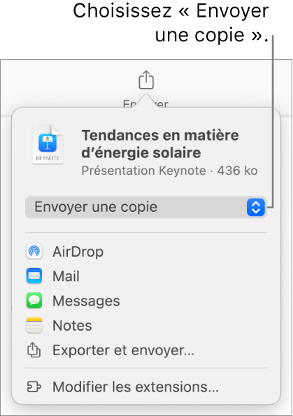 Le menu Partager avec l’option Envoyer une copie sélectionnée en haut.