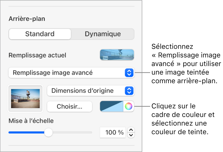 Les commandes Arrière-plan avec une image teintée de type Remplissage image avancé définie comme arrière-plan de la diapositive.