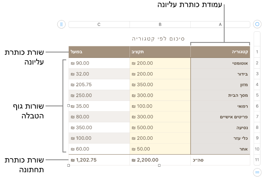 טבלה עם שורות ועמודות כותרת עליונה, גוף טבלה וכותרת תחתונה ועם ידיות אחיזה להוספה או מחיקה של שורות או עמודות.