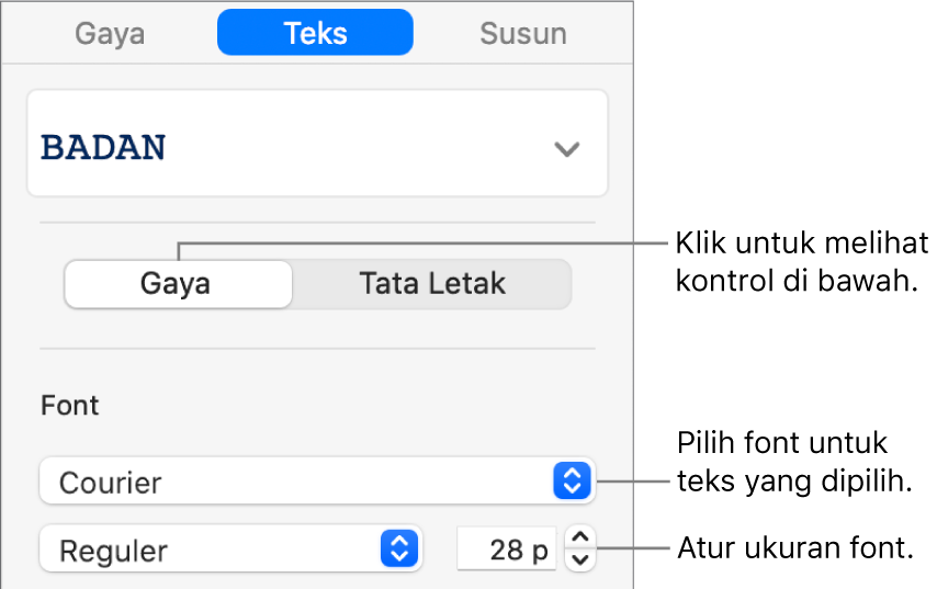 Kontrol teks di bagian Gaya pada bar samping untuk mengatur font dan ukuran font.