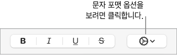 볼드체, 이탤릭체, 밑줄체 버튼 옆에 있는 고급 옵션 버튼.