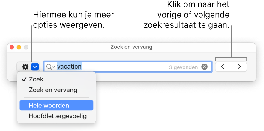 Het venster 'Zoek en vervang' met een pop‑upmenu met de opties 'Zoek', 'Zoek en vervang', 'Hele woorden' en 'Hoofdlettergevoelig'. Met de pijlen aan de rechterkant kun je naar het vorige of volgende zoekresultaat gaan.