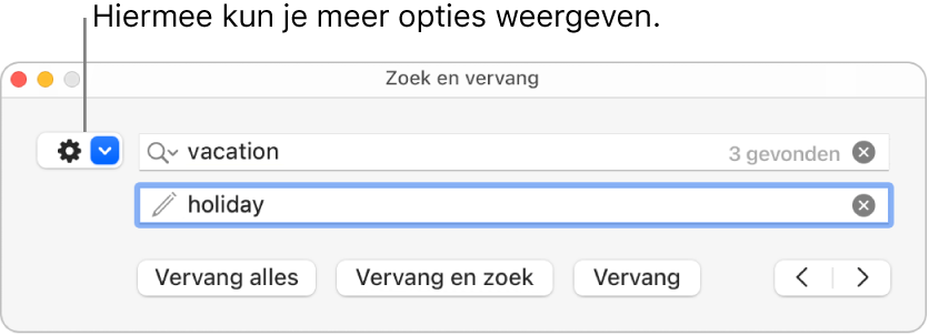 Het venster 'Zoek en vervang' met uitleg bij het pop‑upmenu met meer opties.