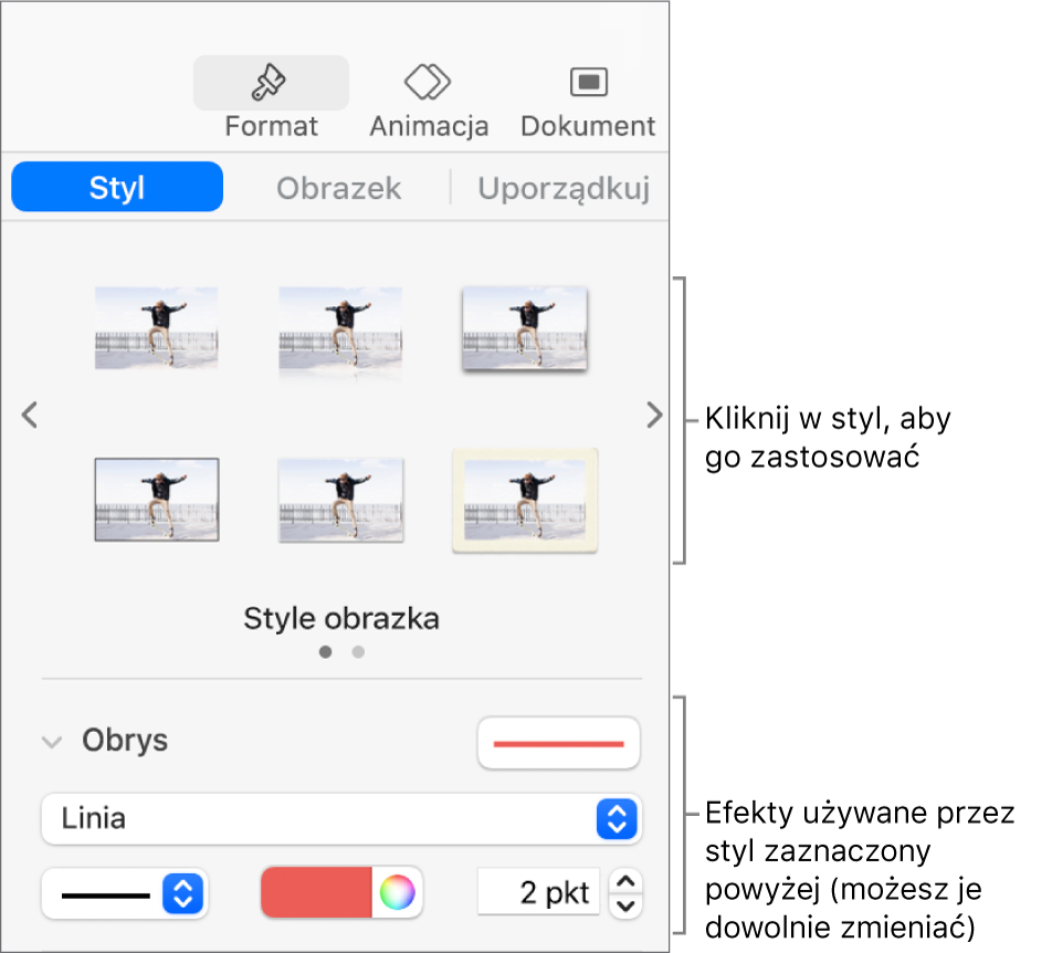 Karta Styl na pasku bocznym Format, zawierająca opcje stylu obiektu.