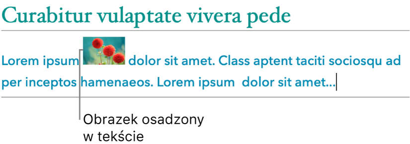 Obrazek osadzony w tekście.