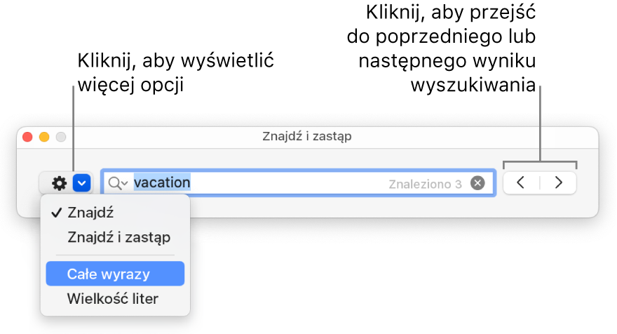 Okno Znajdź i zastąp z menu podręcznym zawierającym opcje Znajdź, Znajdź i zastąp, Całe wyrazy oraz Wielkość liter. Strzałki znajdujące się po prawej umożliwiają przechodzenie do poprzedniego lub następnego wyniku wyszukiwania.