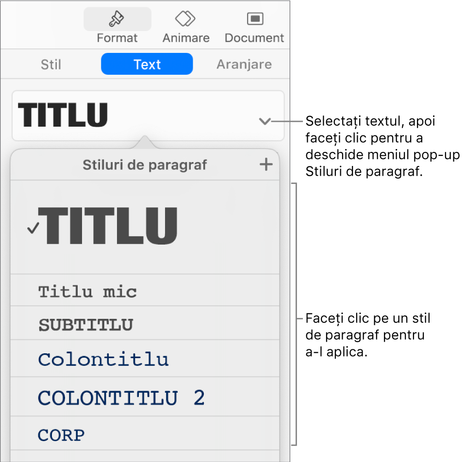 Meniul Stiluri de paragraf cu o bifă alături de stilul selectat.