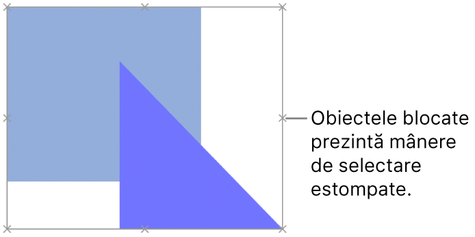 Obiecte blocate cu mânere de selecție estompate.