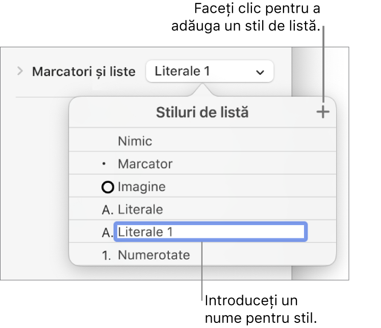 Meniul pop-up Stiluri de listă, cu un buton Adaugă în colțul din dreapta sus și un nume de stil substituent cu textul aferent selectat.