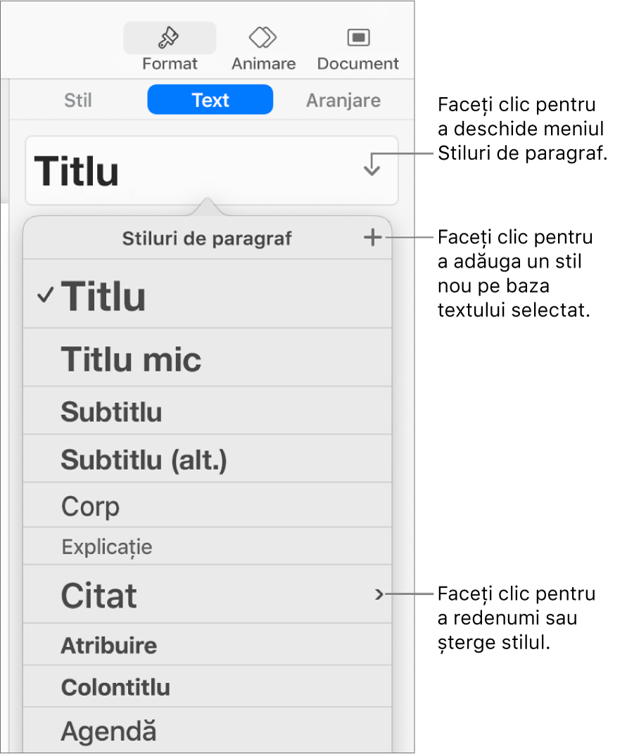 Meniul Stiluri de paragraf afișând comenzi de adăugare sau modificare a unui stil.