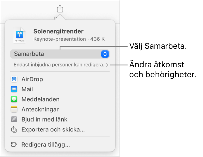 Delningsmenyn med Samarbeta markerat högst upp och tillgångs- och behörighetsinställningar under.