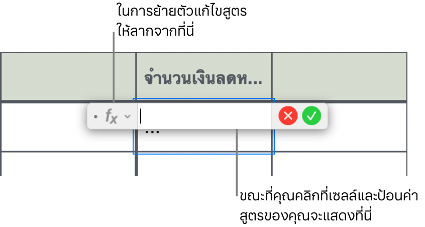 ตัวแก้ไขสูตร