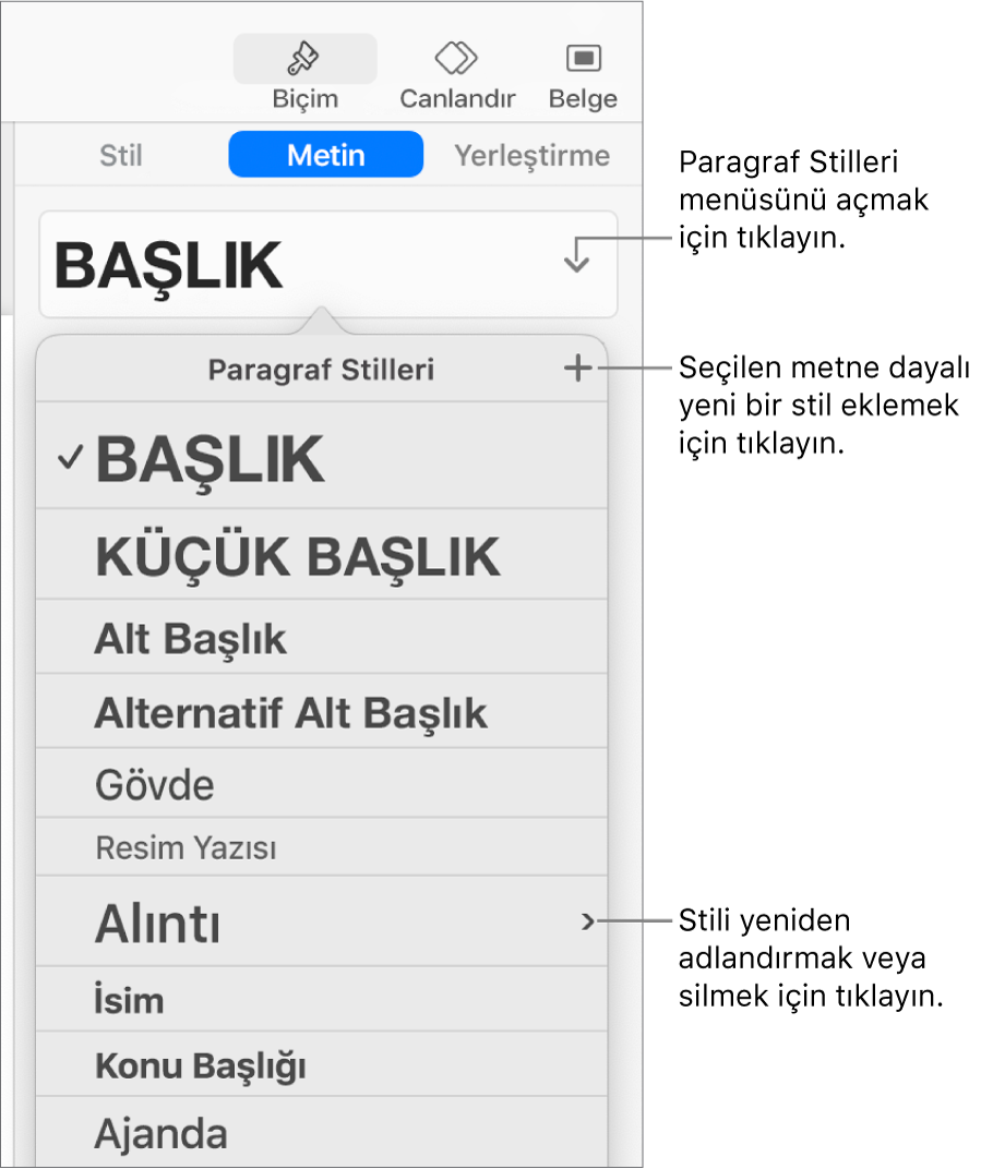 Stil ekleme veya değiştirme denetimlerini gösteren Paragraf Stilleri menüsü.