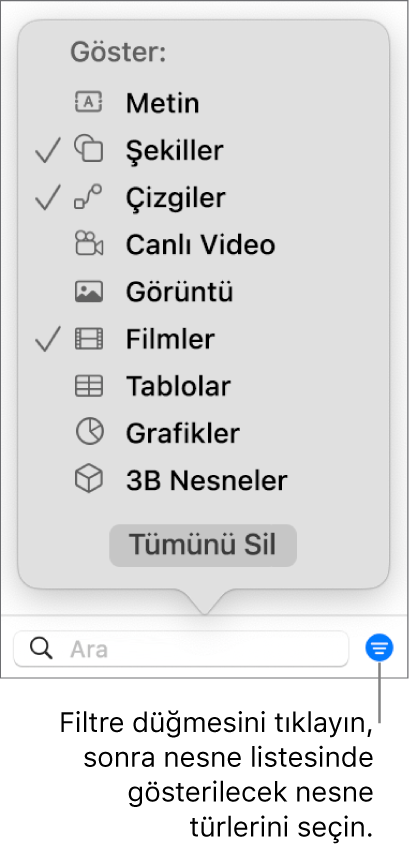 Listenin içerebileceği nesne türlerinin (metin, şekiller, çizgiler, görüntüler, filmler, tablolar ve grafikler) bir listesini içeren, açık haldeki Filtre açılır menüsü.