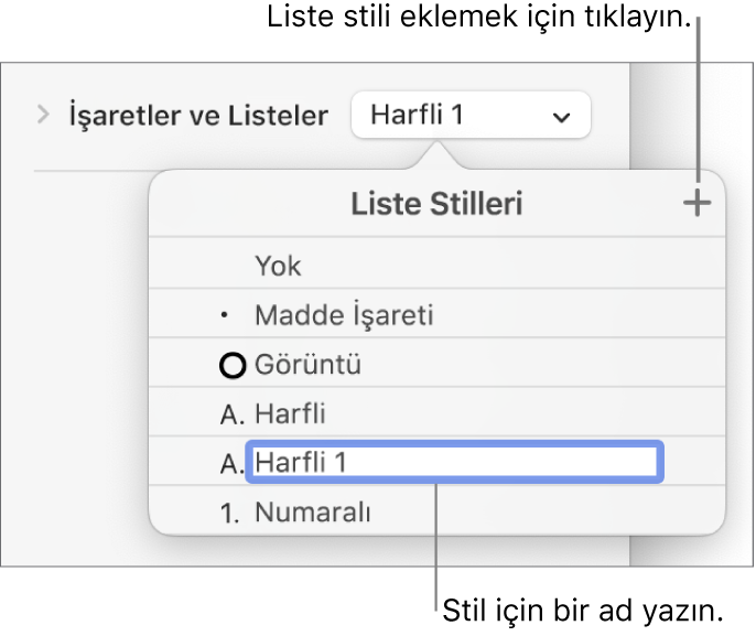 Sağ üst köşede Ekle düğmesi olan Liste Stilleri açılır menüsü ve metni seçili olan yer tutucu stili adı.