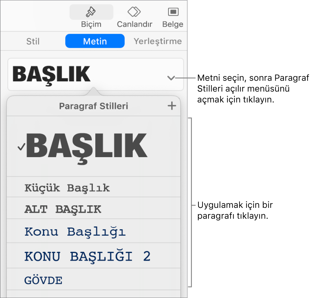 Seçili stilin yanında onay işaretli Paragraf Stilleri menüsü.
