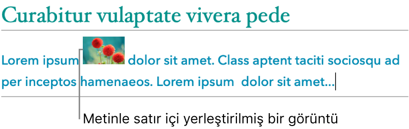 Görüntü, metinle satır içi olarak yerleştirilir.