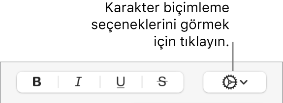 Kalın, İtalik ve Altı Çizgili düğmelerinin yanındaki İleri Düzey Seçenekler düğmesi.