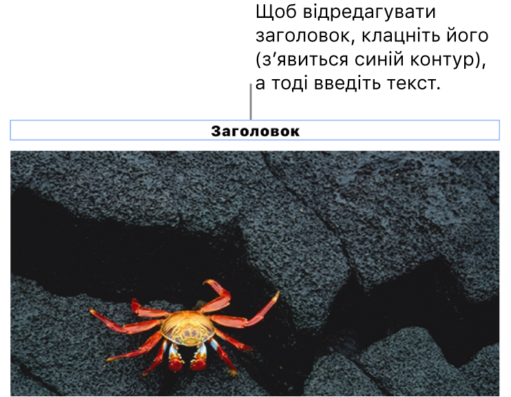 Зразок «Заголовок» відображається під фотографією, синій контур довкола поля заголовку вказує, що його вибрано.