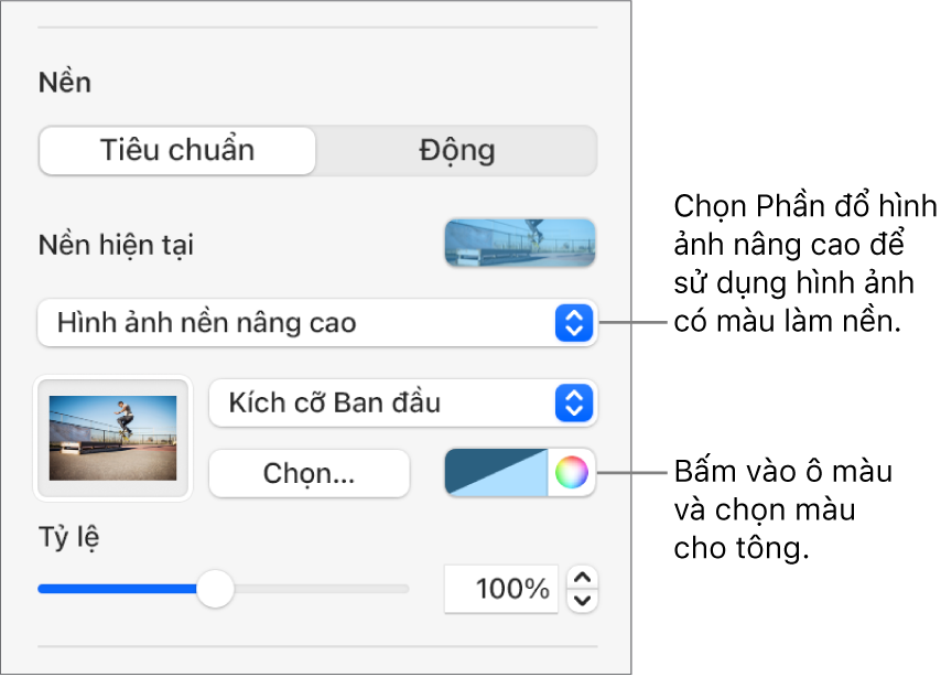 Các điều khiển Nền với Hình ảnh nền nâng cao có màu được đặt dưới dạng nền trang chiếu.