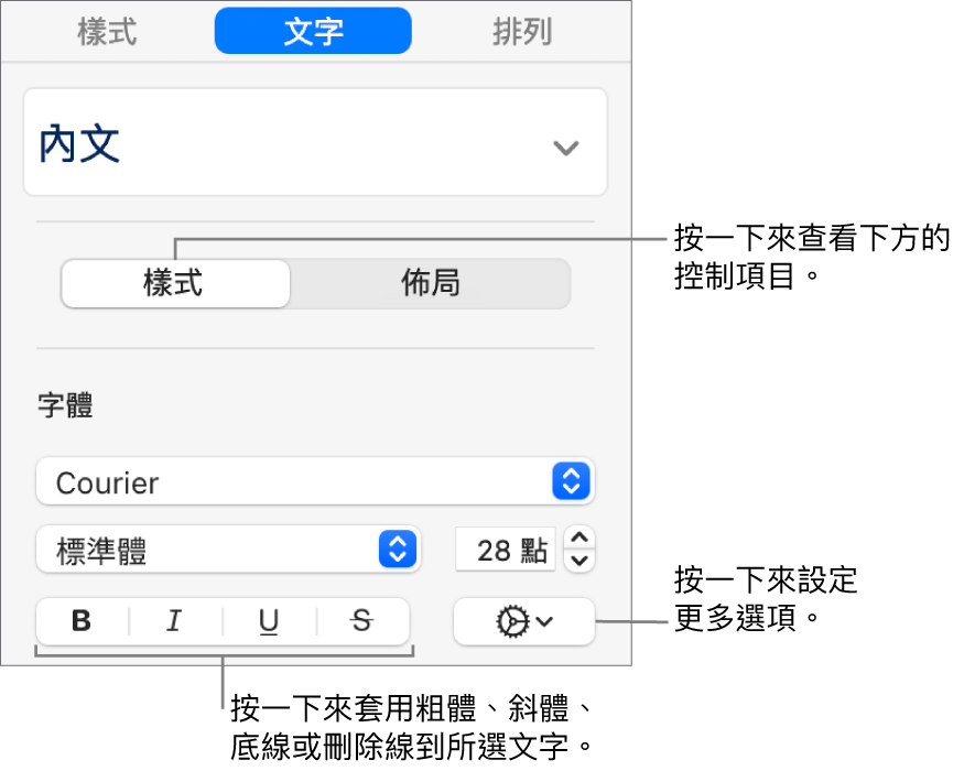 側邊欄中帶有説明文字（如「粗體」、「斜體」、「底線」和「刪除線」按鈕）的「樣式」控制項目。