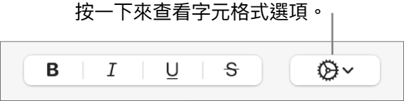 「粗體」、「斜體」和「底線」按鈕旁邊的「進階選項」按鈕。