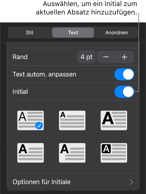 Die Steuerelemente „Initial“ im Menü „Text“