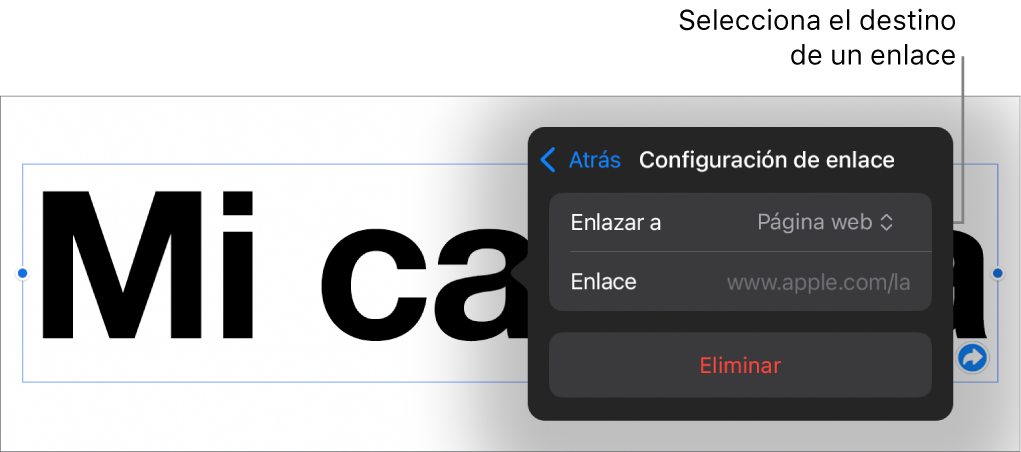 Los controles de Configuración de enlace con la opción Página web seleccionada, y el botón Eliminar en la parte de abajo.