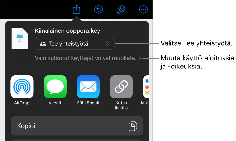 Jaa-valikko, jossa on ylhäällä valittuna Tee yhteistyötä, ja sen alla ovat käyttöoikeus- ja lupa-asetukset.