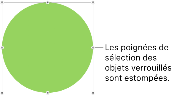 Un objet verrouillé présentant des poignées de sélection estompées.