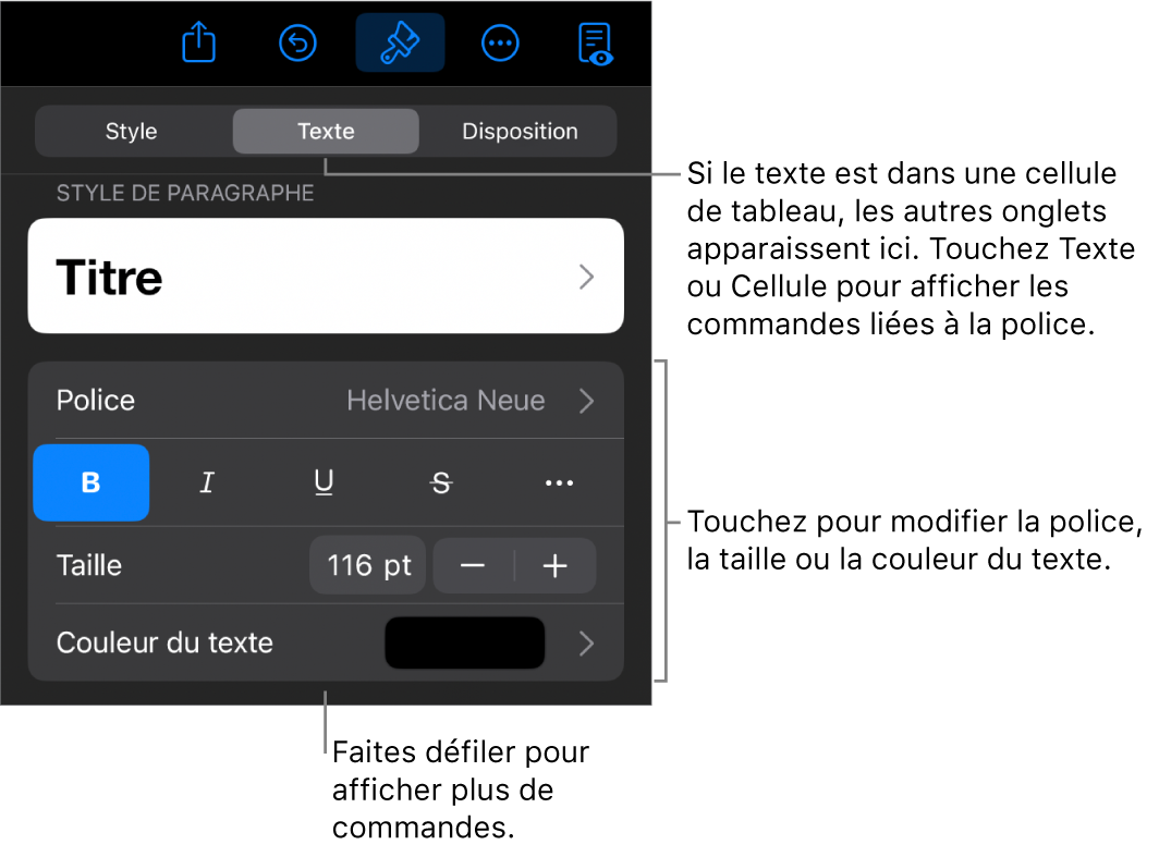 Commandes de texte du menu de format permettant de définir les styles, la police, la taille et la couleur des paragraphes et des caractères.