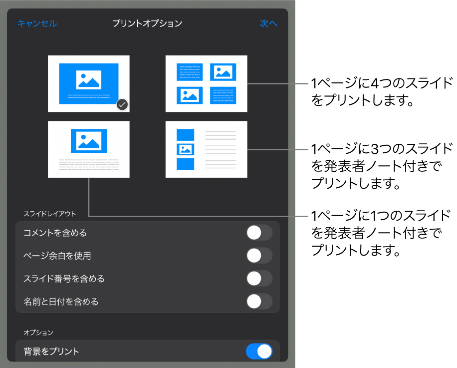 プリントレイアウトオプション。