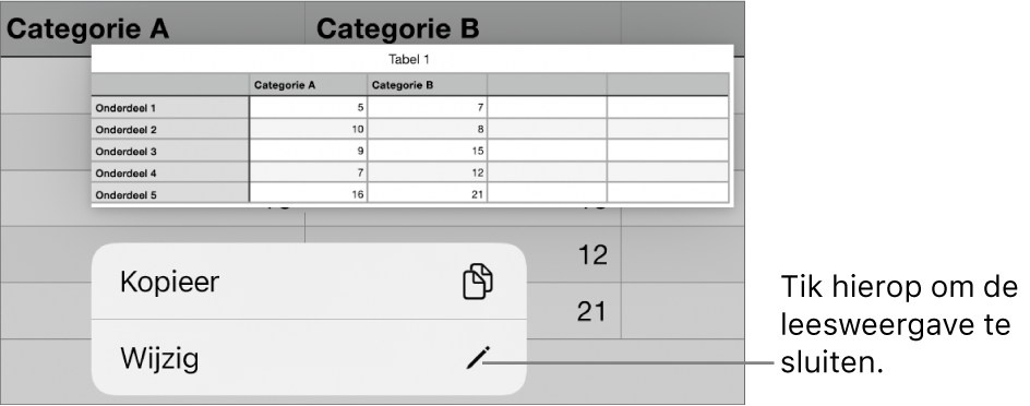 Er is een tabelcel geselecteerd en erboven staat een menu met de knoppen 'Kopieer' en 'Wijzig'.