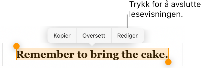 En setning er markert, og over den vises en kontekstmeny med knappene Kopier og Rediger.
