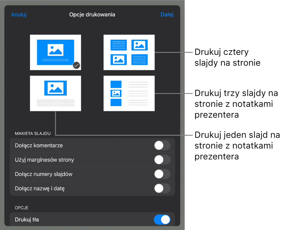 Opcje makiety wydruku.